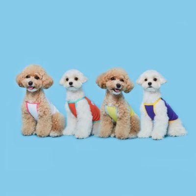 FLOT SUMMER BASIC  เสื้อผ้าสัตว์เลี้ยง หมา แมว Made in Korea