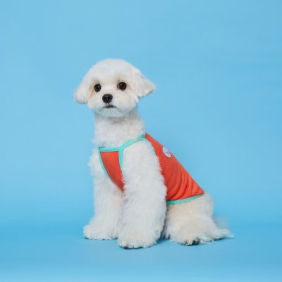 FLOT SUMMER BASIC  เสื้อผ้าสัตว์เลี้ยง หมา แมว Made in Korea