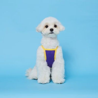 FLOT SUMMER BASIC  เสื้อผ้าสัตว์เลี้ยง หมา แมว Made in Korea