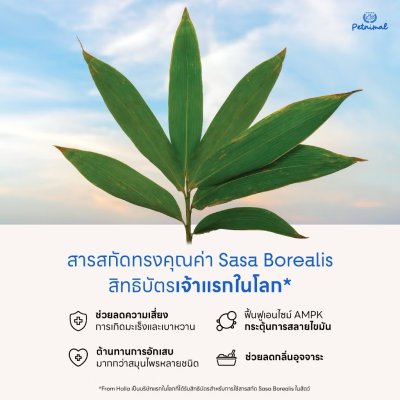 FromHalla Stick Set of 4 เซ็ท 4 กล่อง โอมากาเสะ จากเชจู เกาหลี