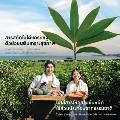 FromHalla Stick Set of 4 เซ็ท 4 กล่อง โอมากาเสะ จากเชจู เกาหลี