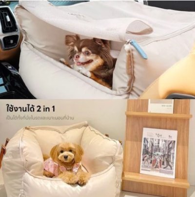 ELEDOG Car seat ที่นั่งนิรภัยสำหรับสัตว์เลี้ยง ปลอดภัยทุกการเดินทาง พรีเมียมแบรนด์จากเกาหลี