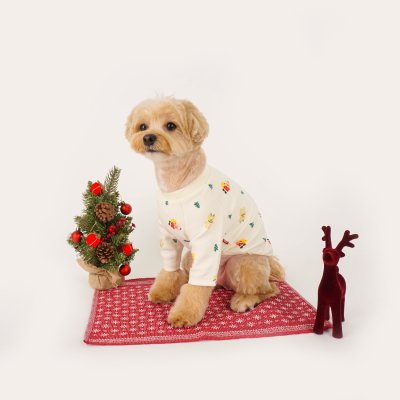 FLOT CHRISTMAS T-SHIRT เสื้อผ้าสัตว์เลี้ยง หมา แมว