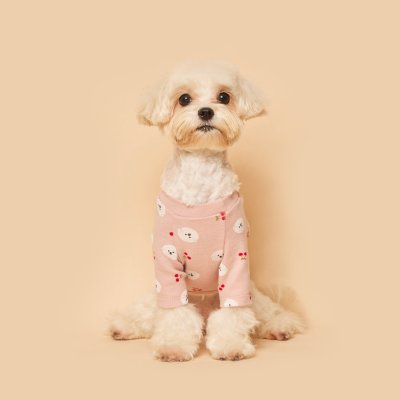 FLOT CHERRY T-SHIRT เสื้อผ้าสัตว์เลี้ยง หมา แมว