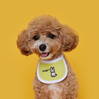FLOT ANIMAL DAILYBIB เสื้อผ้าสัตว์เลี้ยง หมา แมว