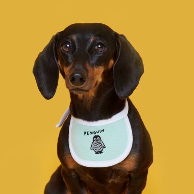 FLOT ANIMAL DAILYBIB เสื้อผ้าสัตว์เลี้ยง หมา แมว