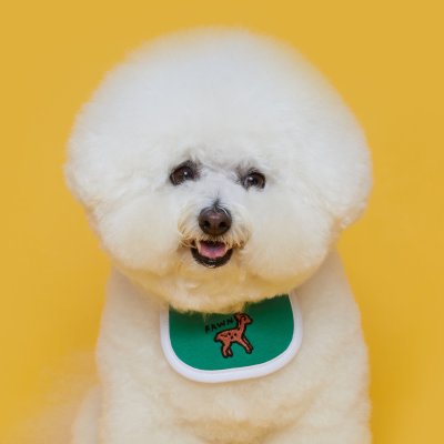 FLOT ANIMAL DAILYBIB เสื้อผ้าสัตว์เลี้ยง หมา แมว
