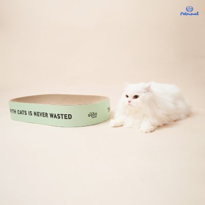 Furry Good Time Green Field Cat Scratcher ที่ลับเล็บแมวทรงสนามบอล