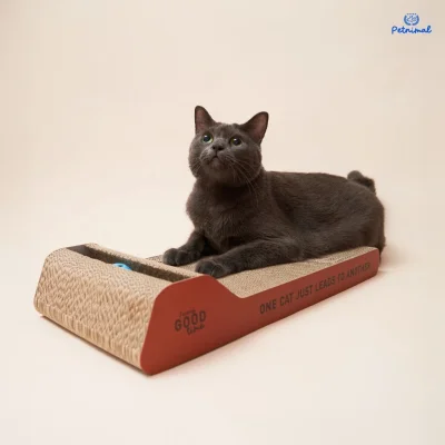Furry Good Time Bell Cat Scratcher ที่ลับเล็บแมวมีกระดิ่ง