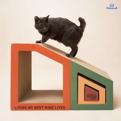 Furry Good Time 4-in-1 Cat Scratcher ที่ลับเล็บแมว 4 ชิ้น