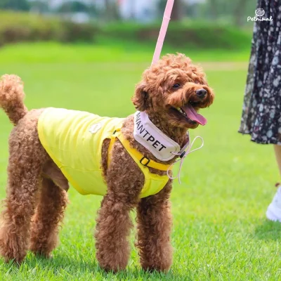 AVANTPET Premium Cooling Band ปลอกคอเจลเย็นสำหรับสัตว์เลี้ยง