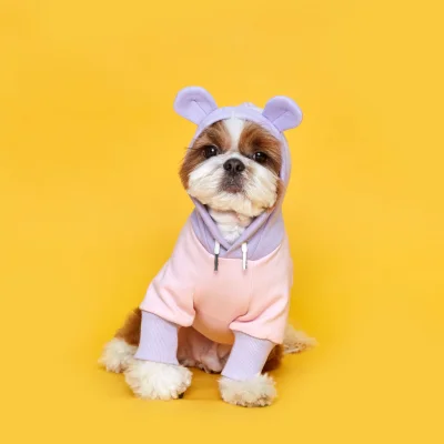 FLOT BETTERLIFE BEAR HOODIE LEMONBEAR เสื้อผ้าสัตว์เลี้ยง หมา แมว