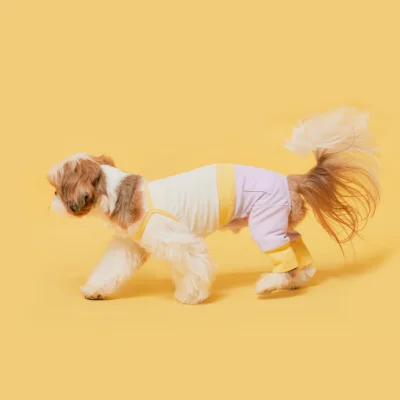 FLOT COOKIE JOGGER PANTS เสื้อผ้าสัตว์เลี้ยง หมา แมว