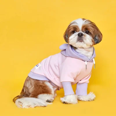 FLOT BETTERLIFE BEAR HOODIE LEMONBEAR เสื้อผ้าสัตว์เลี้ยง หมา แมว