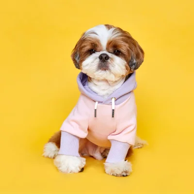 FLOT BETTERLIFE BEAR HOODIE LEMONBEAR เสื้อผ้าสัตว์เลี้ยง หมา แมว