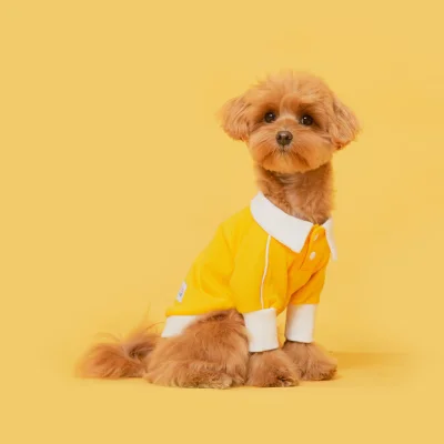 FLOT DAILY PIQUE SHIRT เสื้อผ้าสัตว์เลี้ยง หมา แมว