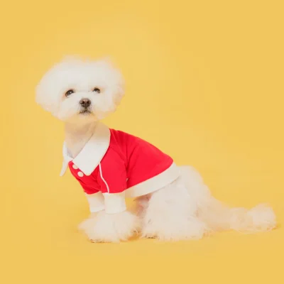 FLOT DAILY PIQUE SHIRT เสื้อผ้าสัตว์เลี้ยง หมา แมว
