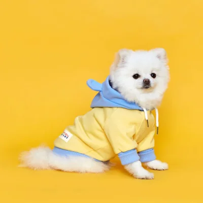FLOT BETTERLIFE BEAR HOODIE LEMONBEAR เสื้อผ้าสัตว์เลี้ยง หมา แมว