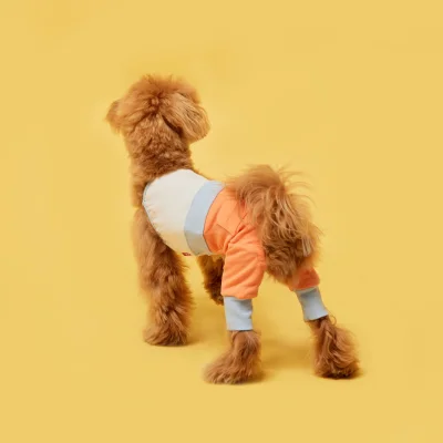 FLOT COOKIE JOGGER PANTS เสื้อผ้าสัตว์เลี้ยง หมา แมว