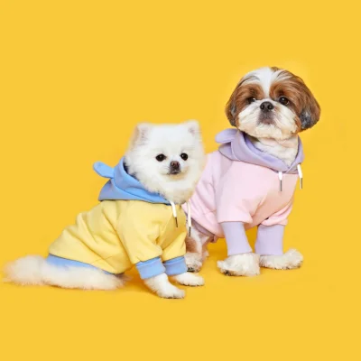 FLOT BETTERLIFE BEAR HOODIE LEMONBEAR เสื้อผ้าสัตว์เลี้ยง หมา แมว