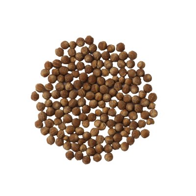 FROMBIO ABUNDANT BREWER'S YEAST