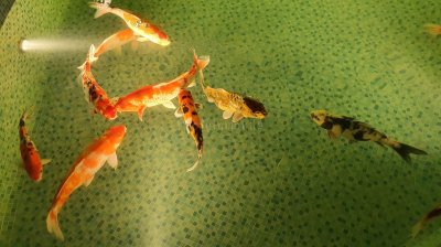 Chocolate Ville ร้านอาหารที่มีขนาดใหญ่แห่งหนึ่งในกรุงเทพมหานคร Chocolate Ville ร้านอาหารที่มีขนาดใหญ่แห่งหนึ่งในกรุงเทพมหานคร