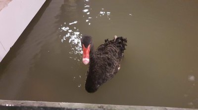 Chocolate Ville ร้านอาหารที่มีขนาดใหญ่แห่งหนึ่งในกรุงเทพมหานคร Chocolate Ville ร้านอาหารที่มีขนาดใหญ่แห่งหนึ่งในกรุงเทพมหานคร