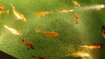 Chocolate Ville ร้านอาหารที่มีขนาดใหญ่แห่งหนึ่งในกรุงเทพมหานคร Chocolate Ville ร้านอาหารที่มีขนาดใหญ่แห่งหนึ่งในกรุงเทพมหานคร