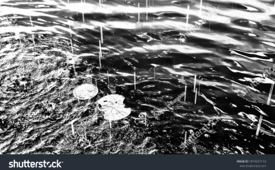 แสดงผลงาน ชุด พื้นหลัง ข้างกำแพง แสดงผลงาน ชุด พื้นหลัง ข้างกำแพง