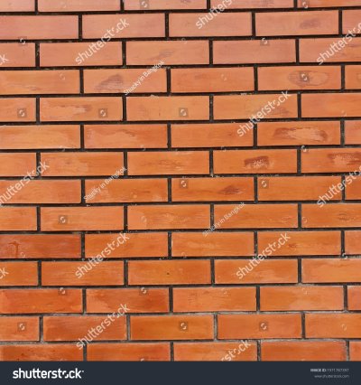 กำแพงข้างบ้าน พุ่มไม้ริมทางเดิน