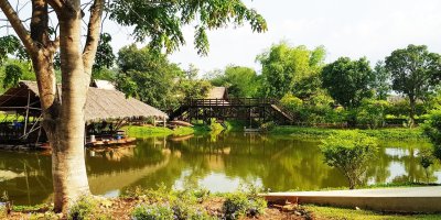 อิริยาบทของสัตว์ อิริยาบทของสัตว์