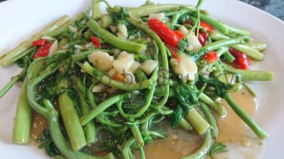 Photo by Shucky Photo by Shucky