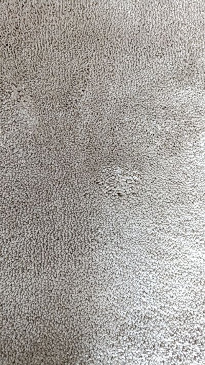MERINO 01 MR-BEIGE ขนาด 240 x 340 cm
