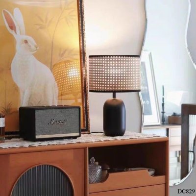 โคมไฟ รุ่น DC829