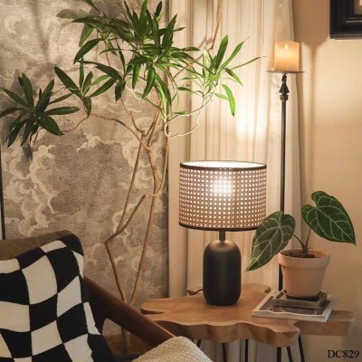 โคมไฟ รุ่น DC829