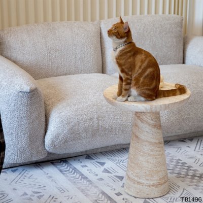 โต๊ะข้าง TB1496 Dim L44xW24xH54 cm