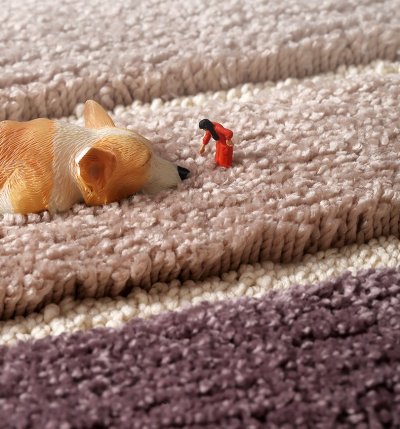 Doormat Carpet 01 ขนาด 40x 60 cm สีเขียว