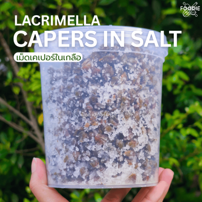 ITALCARCIOFI Salted Caper 1kg