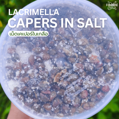 ITALCARCIOFI Salted Caper 1kg