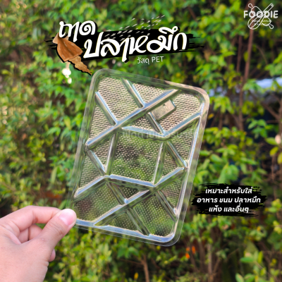 EX ถาดปลาหมึกเล็ก 100ชิ้น
