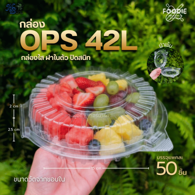 HB กล่องOPS 17L 100ชิ้น