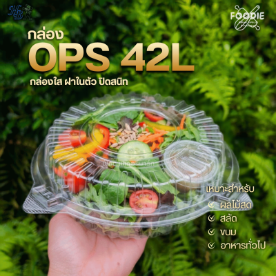 HB กล่องOPS 17L 100ชิ้น