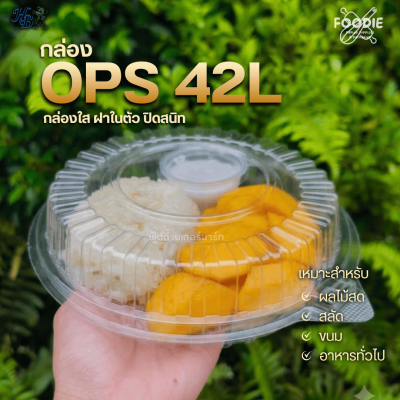 HB กล่องOPS 17L 100ชิ้น