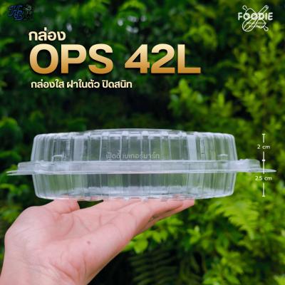 HB กล่องOPS 17L 100ชิ้น