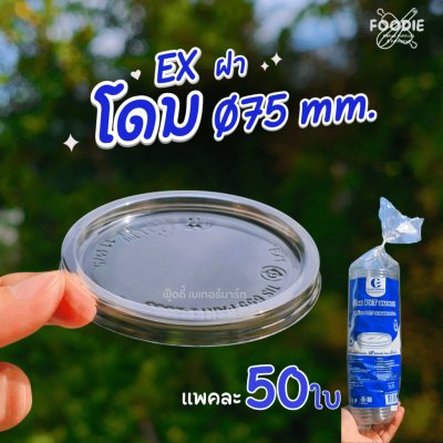 EX ฝาเรียบ75 มจ 50ชิ้น