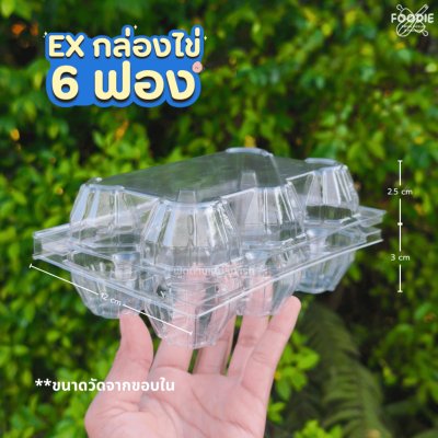 EX กล่องไข่ไก่ 6ฟอง 50ชิ้น