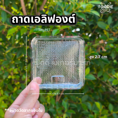 Excel ถาดเอลิฟองต์ 200ชิ้น