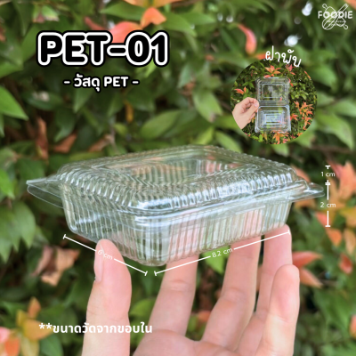 EX กล่อง PET-01 100ชิ้น