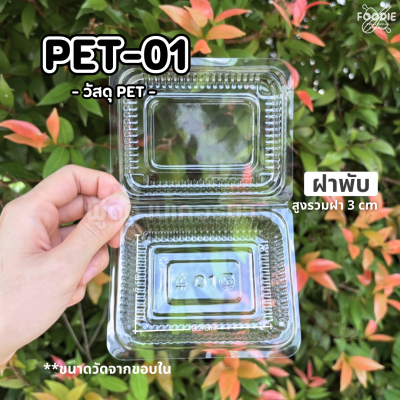 EX กล่อง PET-01 100ชิ้น