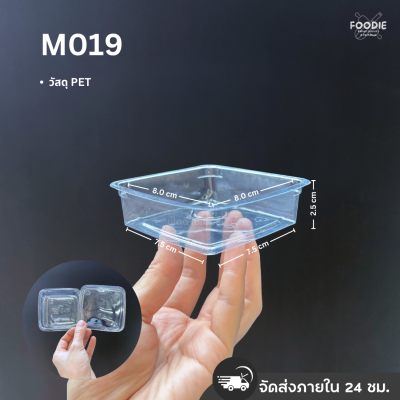 MVS กล่อง M019+ฝา 50ชุด